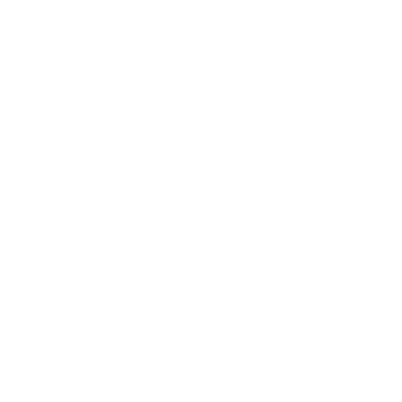 EVO Digital Evolution Logo